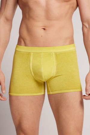 Men Intimissimi Natural Fresh Cotton Boxer Yellow | 5479368-AB