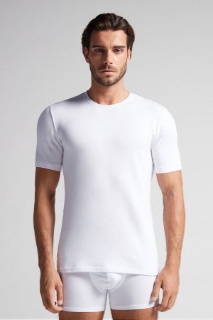 Men Intimissimi Short-Sleeve Modal-Cashmere T-Shirt White | 3190658-AB