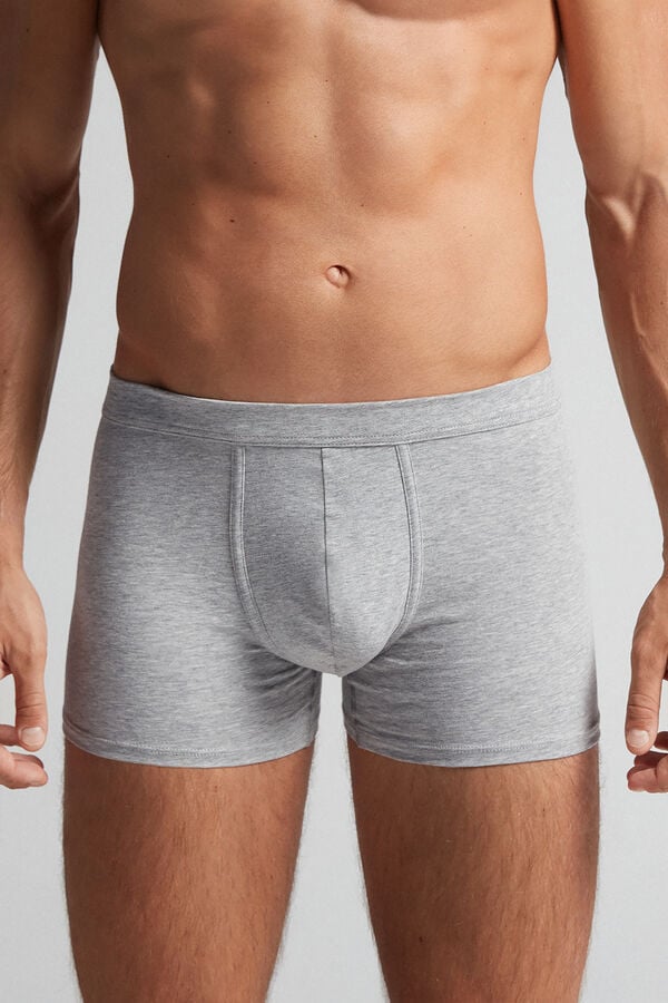 Men Intimissimi Superior Cotton Boxer Light Grey | 0659381-DL