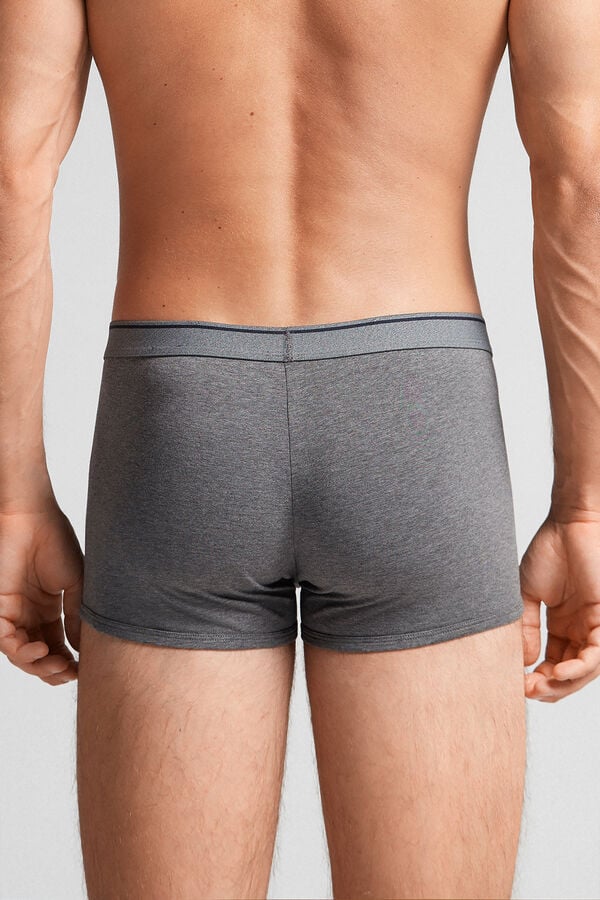 Men Intimissimi Superior Cotton With Exposed Elastic Boxer Deep Grey / Blue | 5706891-LI