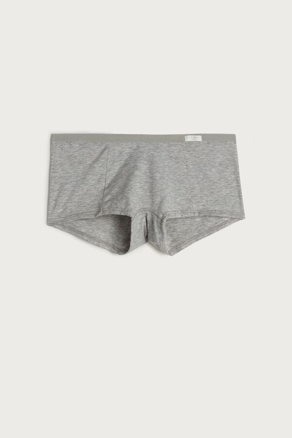 Women Intimissimi Cotton Boyshorts Shorts Light Grey | 5347962-IH